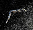  ( - ZHAK-05442)  @11 [ ] CreativeCommons Attribution Non-Commercial No Derivatives (2025) Matt Lemay Hakai Institute
