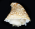  ( - BHAK-06724)  @11 [ ] CreativeCommons - Attribution No Derivatives (2018) Hakai Institute Hakai Institute