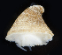  ( - BHAK-06732)  @11 [ ] CreativeCommons - Attribution No Derivatives (2018) Hakai Institute Hakai Institute