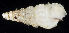  ( - BHAK-06779)  @11 [ ] CreativeCommons - Attribution No Derivatives (2018) Hakai Institute Hakai Institute