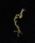  (Tritella - BHAK-11959)  @11 [ ] CreativeCommons Attribution Non-Commercial No Derivatives (2019) Matt Whalen Hakai Institute
