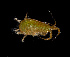  ( - BHAK-11581)  @11 [ ] CreativeCommons Attribution Non-Commercial No Derivatives (2019) Matt Whalen Hakai Institute