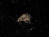  ( - BHAK-11670)  @11 [ ] CreativeCommons Attribution Non-Commercial No Derivatives (2019) Matt Whalen Hakai Institute