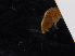  ( - BHAK-11678)  @11 [ ] CreativeCommons Attribution Non-Commercial No Derivatives (2019) Matt Whalen Hakai Institute