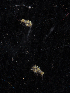  ( - BHAK-11700)  @11 [ ] CreativeCommons Attribution Non-Commercial No Derivatives (2019) Matt Whalen Hakai Institute