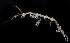  ( - BHAK-1190)  @11 [ ] 