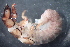  (Hydropsyche sp. A SWRC - 16-SWRC-0353)  @11 [ ] CreativeCommons - Attribution (2010) Stroud Water Research Center (SWRC) Stroud Water Research Center (SWRC)