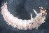  ( - 16-SWRC-0381)  @11 [ ] CreativeCommons - Attribution (2010) Stroud Water Research Center (SWRC) Stroud Water Research Center (SWRC)