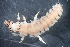  ( - 16-SWRC-0382)  @11 [ ] CreativeCommons - Attribution (2010) Stroud Water Research Center (SWRC) Stroud Water Research Center (SWRC)