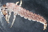  ( - 16-SWRC-0389)  @11 [ ] CreativeCommons - Attribution (2010) Stroud Water Research Center (SWRC) Stroud Water Research Center (SWRC)
