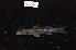  ( - CHON836)  @11 [ ] by-nc-sa (2025) Nicolas Hubert IRD
