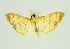  ( - RMNH.INS.1297546)  @11 [ ] CreativeCommons Attribution Non-Commercial Share-Alike (2022) Unspecified Naturalis Biodiversity Center