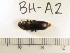  ( - BH-A2)  @12 [ ] Copyright (2017) Hans Kelstrup Beta Hatch, Inc.