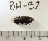  ( - BH-B2)  @12 [ ] Copyright (2017) Hans Kelstrup Beta Hatch, Inc.