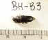  ( - BH-B3)  @12 [ ] Copyright (2017) Hans Kelstrup Beta Hatch, Inc.