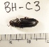 ( - BH-C3)  @12 [ ] Copyright (2017) Hans Kelstrup Beta Hatch, Inc.