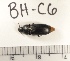  ( - BH-C6)  @12 [ ] Copyright (2017) Hans Kelstrup Beta Hatch, Inc.
