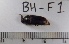  ( - BH-F1)  @12 [ ] Copyright (2017) Hans Kelstrup Beta Hatch, Inc.