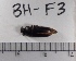  ( - BH-F3)  @12 [ ] Copyright (2017) Hans Kelstrup Beta Hatch, Inc.