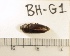  ( - BH-G1)  @12 [ ] Copyright (2017) Hans Kelstrup Beta Hatch, Inc.