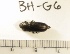  ( - BH-G6)  @12 [ ] Copyright (2017) Hans Kelstrup Beta Hatch, Inc.
