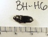  ( - BH-H6)  @12 [ ] Copyright (2017) Hans Kelstrup Beta Hatch, Inc.