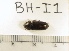  ( - BH-I1)  @12 [ ] Copyright (2017) Hans Kelstrup Beta Hatch, Inc.