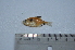  ( - LBPV_1481_12703)  @13 [ ] Unspecified (default): All Rights Reserved  Unspecified Unspecified