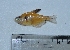  ( - LBPV_2994_19661)  @13 [ ] Unspecified (default): All Rights Reserved  Unspecified Unspecified