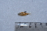  ( - LBPV_5006_25914)  @13 [ ] Unspecified (default): All Rights Reserved  Unspecified Unspecified