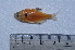  ( - LBPV_6692_32164)  @13 [ ] Unspecified (default): All Rights Reserved  Unspecified Unspecified