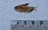  ( - LBPV_7615_36278)  @13 [ ] Unspecified (default): All Rights Reserved  Unspecified Unspecified