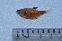  ( - LBPV_8739_47651)  @13 [ ] Unspecified (default): All Rights Reserved  Unspecified Unspecified