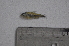  ( - LBPV_8387_40455)  @13 [ ] Unspecified (default): All Rights Reserved  Unspecified Unspecified