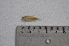  ( - LBPV_10238_47796)  @12 [ ] Unspecified (default): All Rights Reserved  Unspecified Unspecified