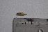  ( - LBPV_10831_50020)  @12 [ ] Unspecified (default): All Rights Reserved  Unspecified Unspecified