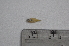  ( - LBPV_10831_50022)  @12 [ ] Unspecified (default): All Rights Reserved  Unspecified Unspecified