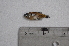  ( - LBPV_11449_52277)  @12 [ ] Unspecified (default): All Rights Reserved  Unspecified Unspecified
