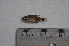  ( - LBPV_11449_52279)  @12 [ ] Unspecified (default): All Rights Reserved  Unspecified Unspecified