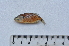  ( - LBPV_7454_36004)  @11 [ ] Unspecified (default): All Rights Reserved  Unspecified Unspecified