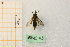  ( - pnac45)  @11 [ ] CreativeCommons - Attribution by Marco Bonifacino (2023) Unspecified Dipartimento di Biologia, Università degli Studi di Firenze