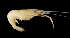  ( - BIC-0225)  @13 [ ] CreativeCommons - Attribution Non-Commercial Share-Alike (2014) Daisy WOWOR LIPI