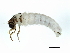  ( - 09BICAD-009)  @12 [ ] CreativeCommons - Attribution (2010) Unspecified Centre for Biodiversity Genomics