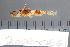  ( - 2006-0661)  @11 [ ] CreativeCommons  Attribution Non-Commercial Share-Alike (2017) Larry Page FLMNH