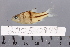  ( - 2005-0949)  @11 [ ] CreativeCommons  Attribution Non-Commercial Share-Alike (2017) Larry Page FLMNH