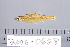  ( - 2006-0628)  @11 [ ] CreativeCommons  Attribution Non-Commercial Share-Alike (2017) Larry Page FLMNH