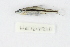  ( - LR10121)  @11 [ ] CreativeCommons  Attribution Non-Commercial Share-Alike (2017) Lukas Rüber NMBE