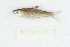  ( - LR10250)  @11 [ ] CreativeCommons  Attribution Non-Commercial Share-Alike (2017) Lukas Rüber NMBE