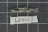  ( - LR09569)  @11 [ ] CreativeCommons  Attribution Non-Commercial Share-Alike (2017) Lukas Rüber NMBE