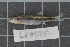  ( - LR09575)  @11 [ ] CreativeCommons  Attribution Non-Commercial Share-Alike (2017) Lukas Rüber NMBE